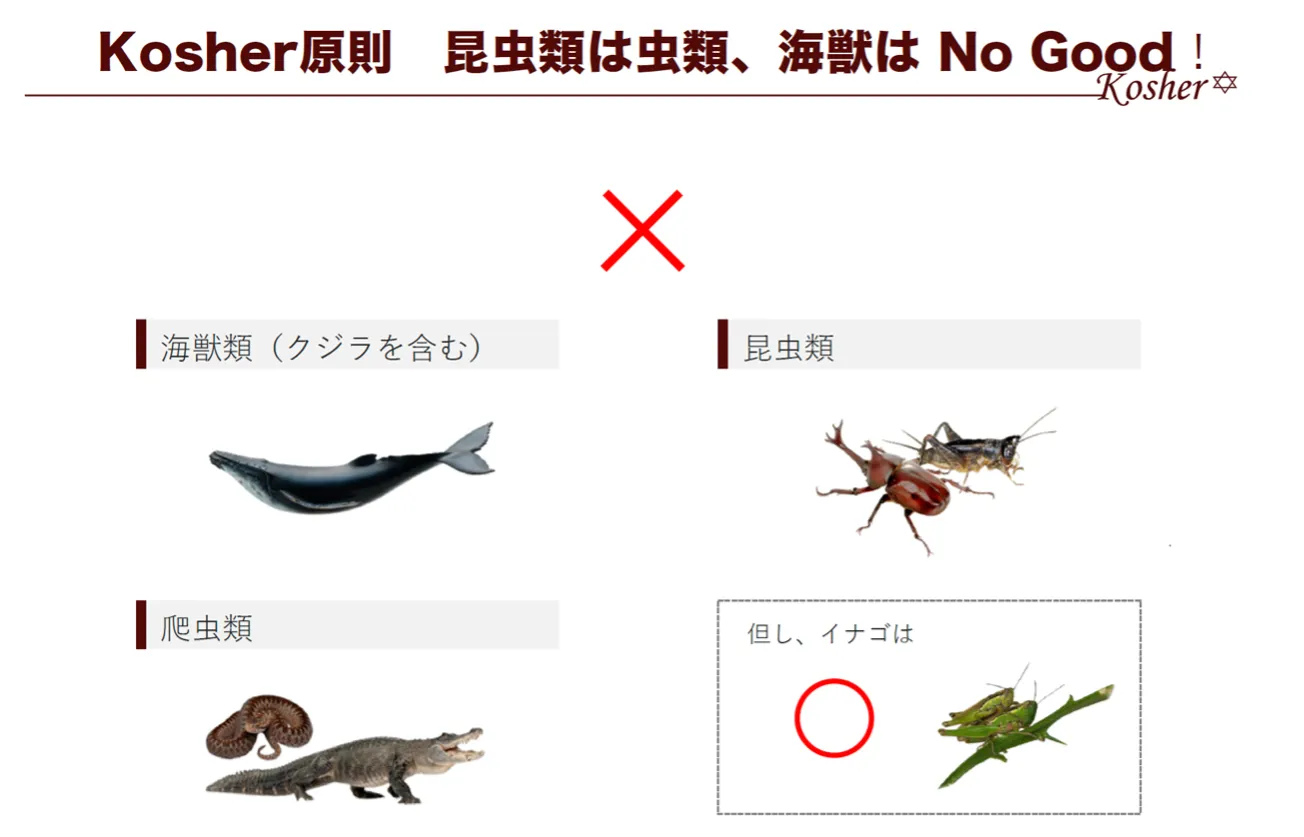 禁止食
